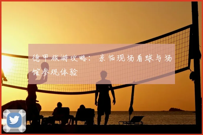 德甲旅游攻略:亲临现场看球与场馆参观体验
