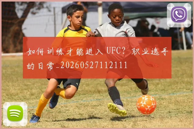 如何训练才能进入 UFC？职业选手的日常_20260527112111