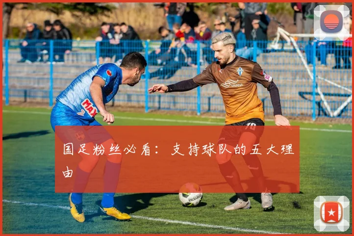 国足粉丝必看：支持球队的五大理由